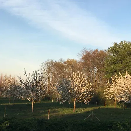 Pipowagen Lent Lejlighed De Pas