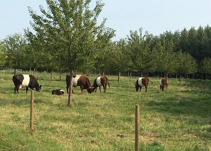 Apartmán Pipowagen Lent De Pas