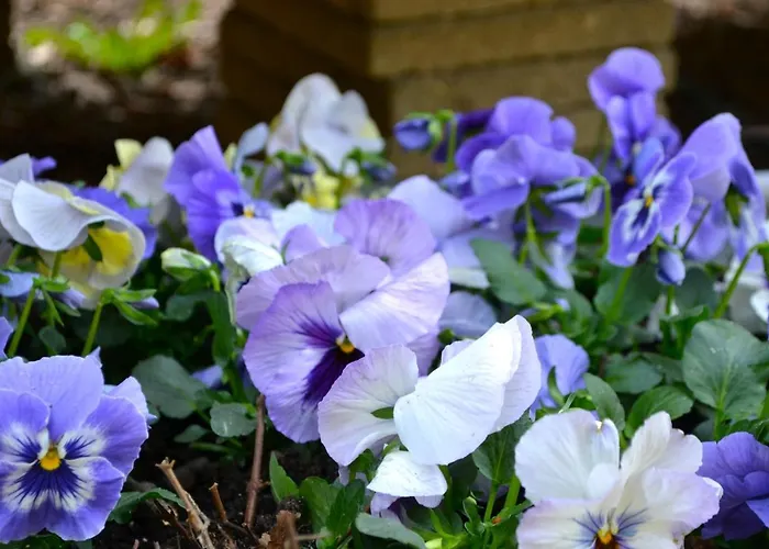 Pipowagen Lent Apartmán