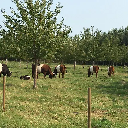 Apartmán Pipowagen Lent De Pas