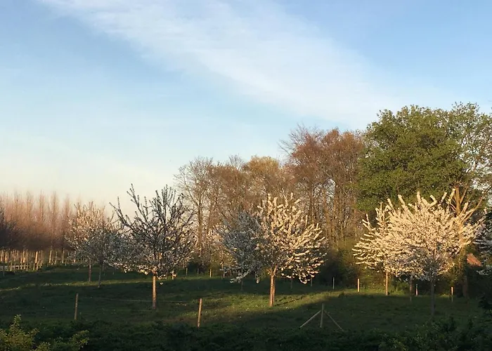 Pipowagen Lent Appartement De Pas